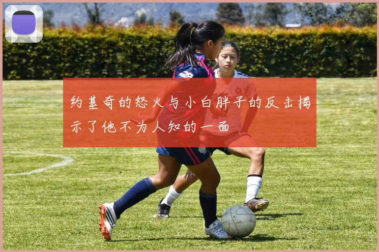约基奇的怒火与小白胖子的反击揭示了他不为人知的一面