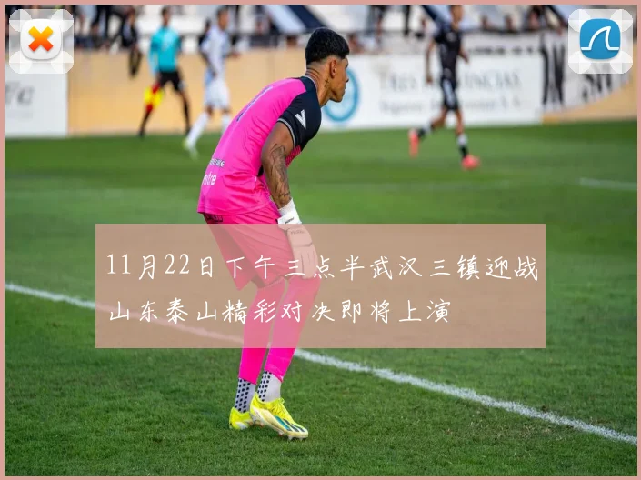 11月22日下午三点半武汉三镇迎战山东泰山精彩对决即将上演